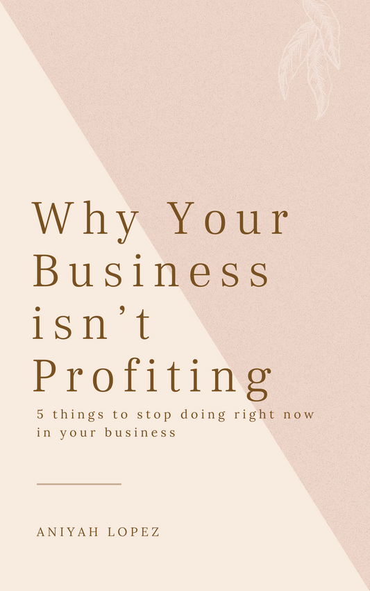 5 Reasons You Can’t Profit From Your Business